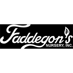 Faddegons250 Easy Method Driving School